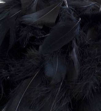Eleganza Feathers Mixed sizes 3inch-5inch 50g bag Black No.20 - Accessories